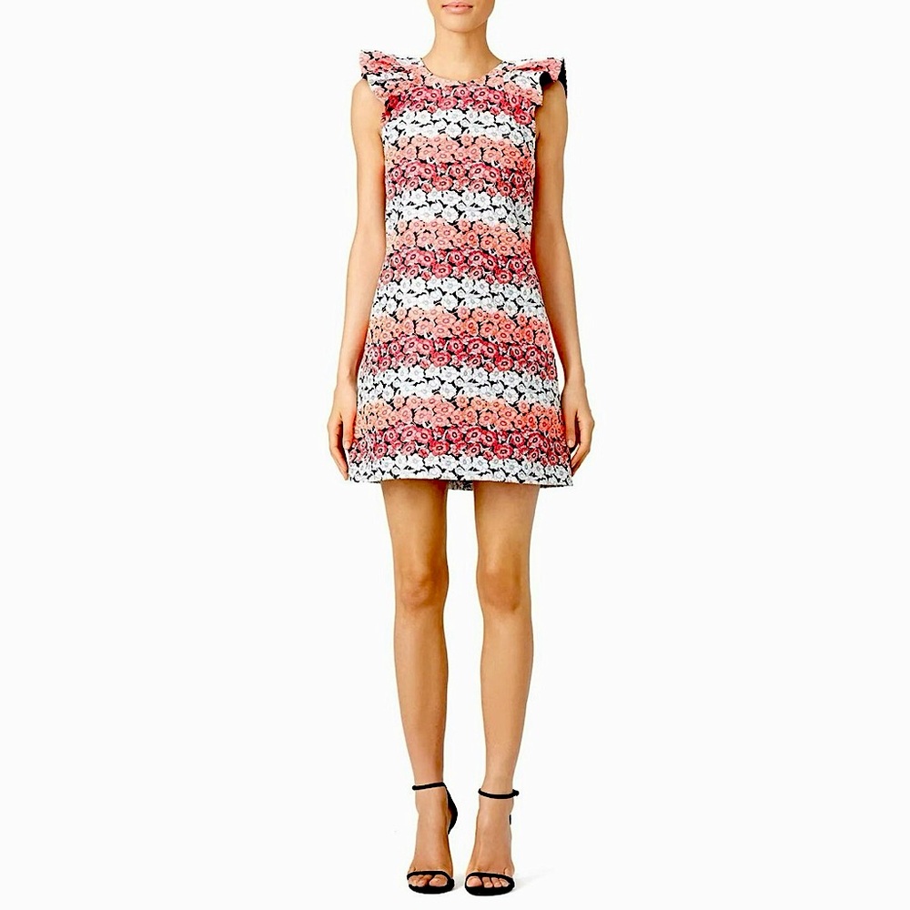 Giambattista Valli Giamba Flower
Fields Shift DRESS 👗 - Size XXS